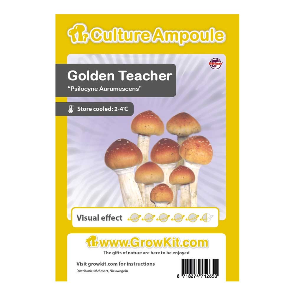 Golden Teacher liquid ampoule